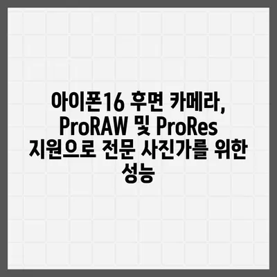 아이폰16 후면 카메라, ProRAW 및 ProRes 지원으로 전문 사진가를 위한 성능