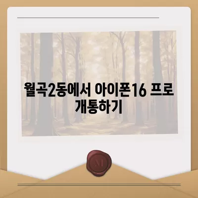 광주시 광산구 월곡2동 아이폰16 프로 사전예약 | 출시일 | 가격 | PRO | SE1 | 디자인 | 프로맥스 | 색상 | 미니 | 개통