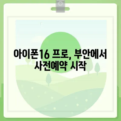 전라북도 부안군 부안읍 아이폰16 프로 사전예약 | 출시일 | 가격 | PRO | SE1 | 디자인 | 프로맥스 | 색상 | 미니 | 개통