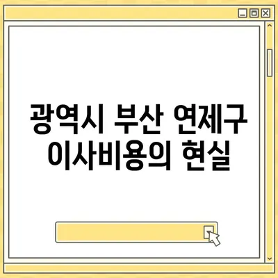 부산시 연제구 거제4동 포장이사비용 | 견적 | 원룸 | 투룸 | 1톤트럭 | 비교 | 월세 | 아파트 | 2024 후기