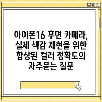 아이폰16 후면 카메라, 실제 색감 재현을 위한 향상된 컬러 정확도