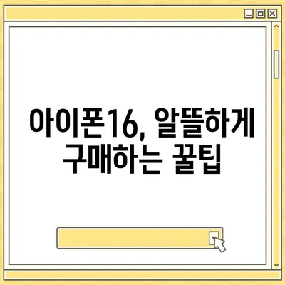 아이폰16 가격을 절약하는 방법