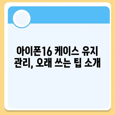 아이폰16 케이스, 개인화된 스타일과 보호의 만남