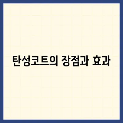 덕양구 이사청소 | 탄성코트와 줄눈 시공 보고