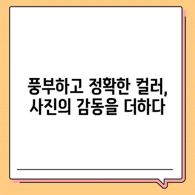 아이폰16 후면 카메라, 실제 색감 재현을 위한 향상된 컬러 정확도