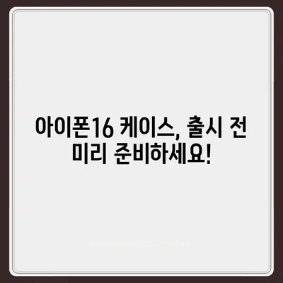 아이폰16 케이스 1차 출시국 및 사전예약 선행 주문