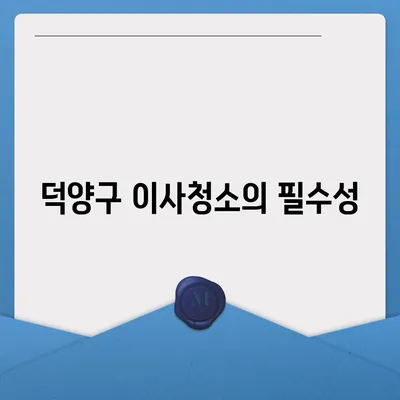 덕양구 이사청소 | 탄성코트와 줄눈 시공 보고