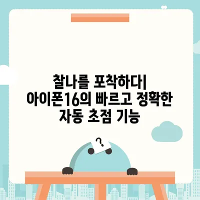 아이폰16의 획기적인 카메라 업그레이드