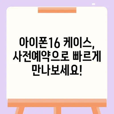 아이폰16 케이스 1차 출시국 및 사전예약 선행 주문