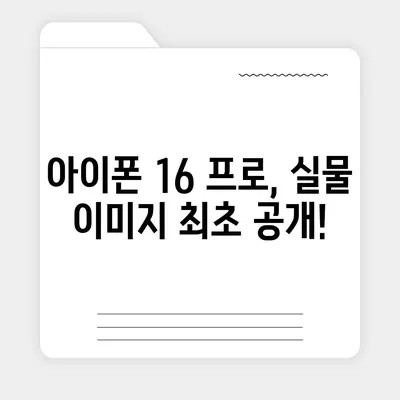 아이폰 16 프로의 디자인, 출시일, 실물 이미지