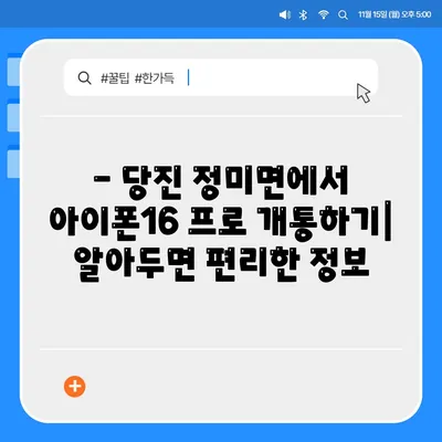 충청남도 당진시 정미면 아이폰16 프로 사전예약 | 출시일 | 가격 | PRO | SE1 | 디자인 | 프로맥스 | 색상 | 미니 | 개통