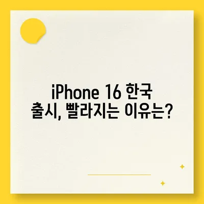 iPhone 16 한국 1차 출시 시기와 이유