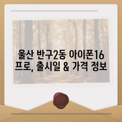 울산시 중구 반구2동 아이폰16 프로 사전예약 | 출시일 | 가격 | PRO | SE1 | 디자인 | 프로맥스 | 색상 | 미니 | 개통