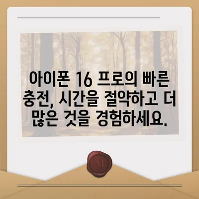 아이폰 16 프로 | 더 빠른 충전에 기대를 모으다