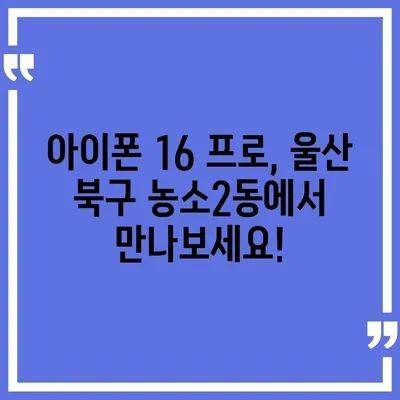 울산시 북구 농소2동 아이폰16 프로 사전예약 | 출시일 | 가격 | PRO | SE1 | 디자인 | 프로맥스 | 색상 | 미니 | 개통