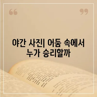 아이폰 16 프로 카메라 대비 구글 픽셀 | 어떤 카메라가 더 우월한가?