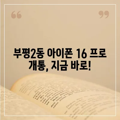 인천시 부평구 부평2동 아이폰16 프로 사전예약 | 출시일 | 가격 | PRO | SE1 | 디자인 | 프로맥스 | 색상 | 미니 | 개통