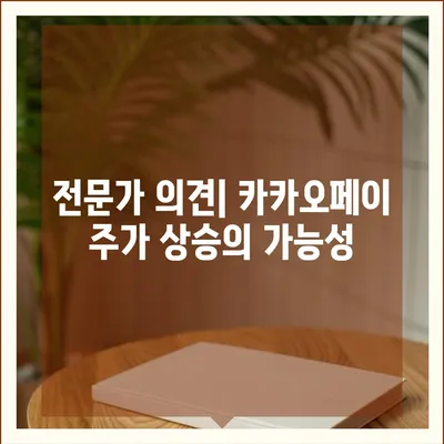 카카오페이 주가, 개인정보유출 논란에 휘말려 주목받는 목표주가와 주식전망