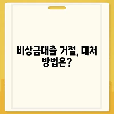 카카오뱅크 pc버전 비상금대출거절