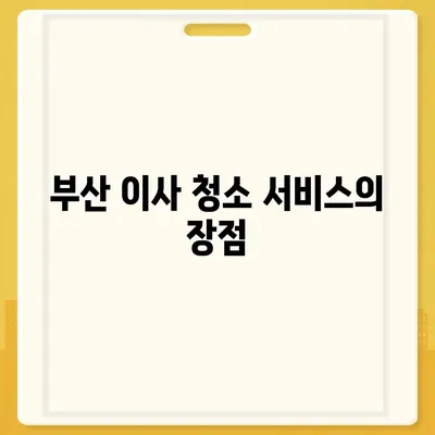 부산 이사 청소 최고의 선택