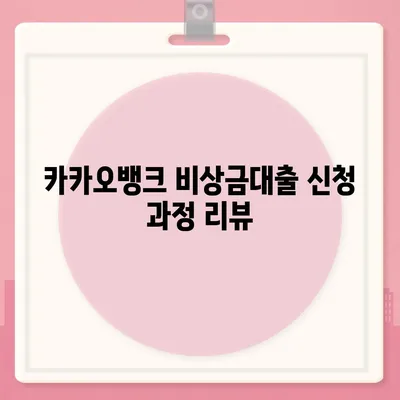 카카오뱅크 pc버전 비상금대출 pc버전 후기