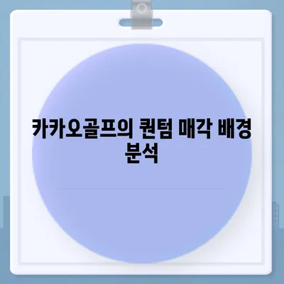 카카오골프 퀀텀 매각 이슈 및 대응