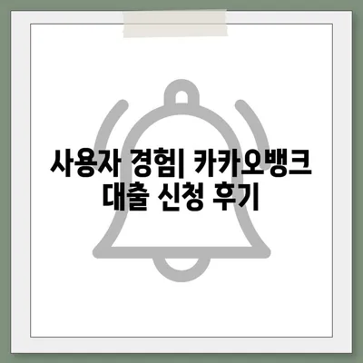 카카오뱅크 pc버전 비상금대출거절