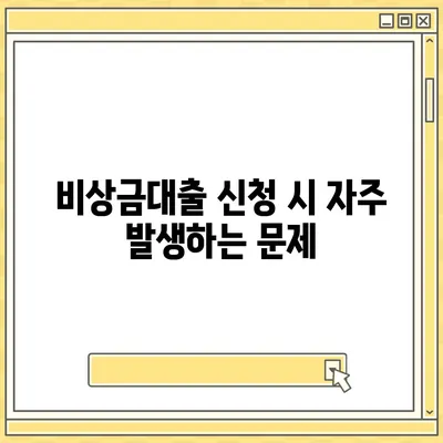 카카오뱅크 pc버전 비상금대출거절