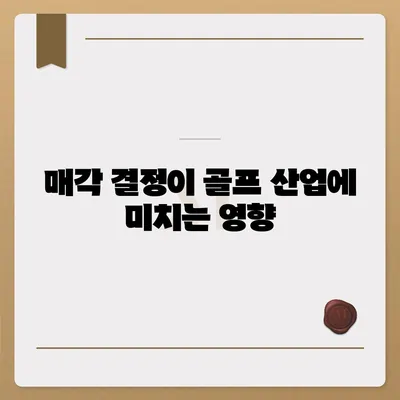 카카오골프 퀀텀 매각 이슈 및 대응