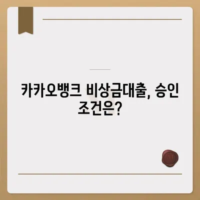 카카오뱅크 pc버전 비상금대출거절