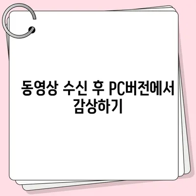 카카오톡 pc버전 동영상