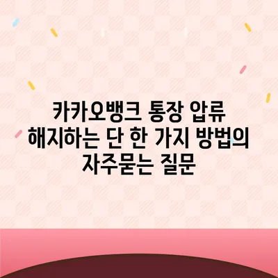 카카오뱅크 통장 압류 해지하는 단 한 가지 방법