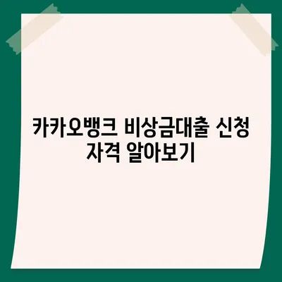 카카오뱅크 비상금대출 조건