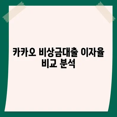 카카오 pc버전 비상금대출