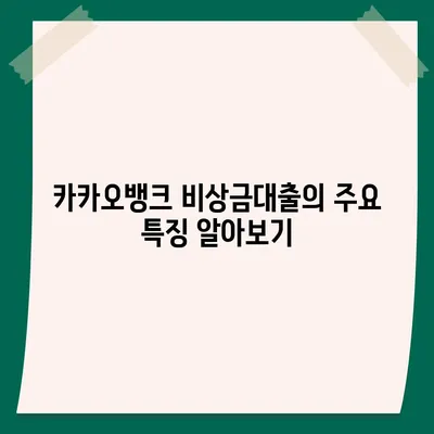 카카오뱅크 비상금대출