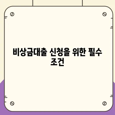 카카오뱅크 pc버전 비상금대출거절