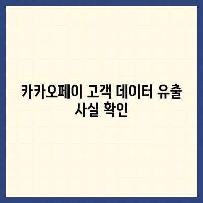 카카오페이 개인정보유출 사건 | 사실과 전망