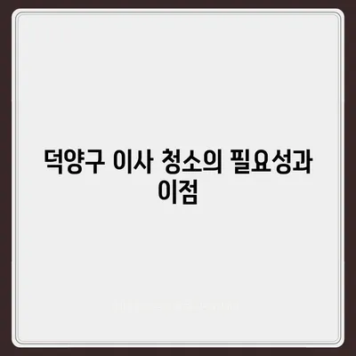 성실한 덕양구 이사 청소 업체