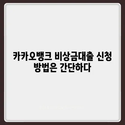 카카오뱅크 pc버전 비상금대출 후기