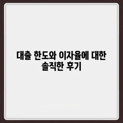 카카오뱅크 pc버전 비상금대출 후기