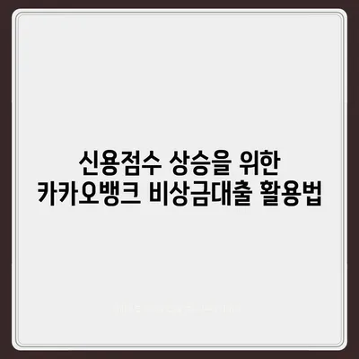 카카오뱅크 비상금대출 신용점수