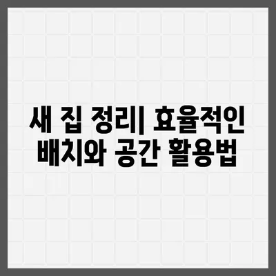 이사 준비를 손쉽게 하는 완벽 가이드