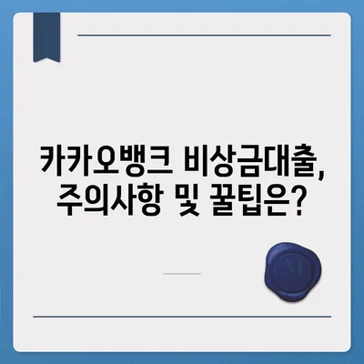 카카오뱅크 pc버전 비상금대출조건