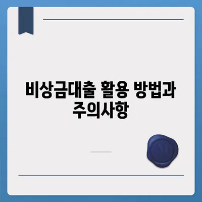 카카오 비상금대출