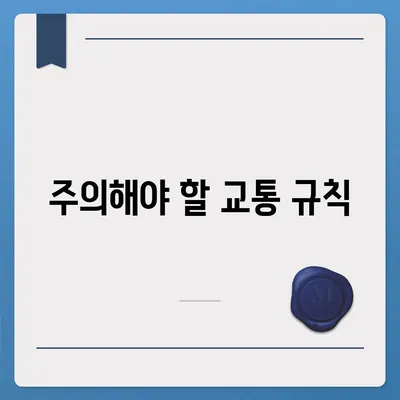 카카오바이크 이용 후기와 안전 주의 사항