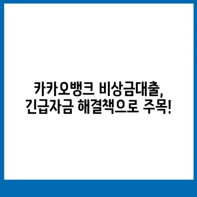 카카오뱅크 pc버전 비상금대출 pc버전 애자