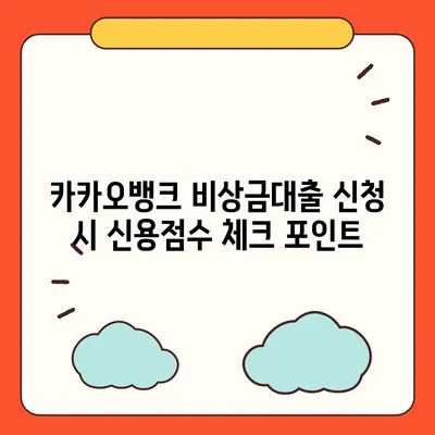 카카오뱅크 비상금대출 신용점수