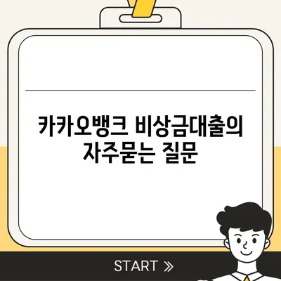 카카오뱅크 비상금대출