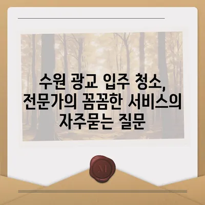 수원 광교 입주 청소, 전문가의 꼼꼼한 서비스