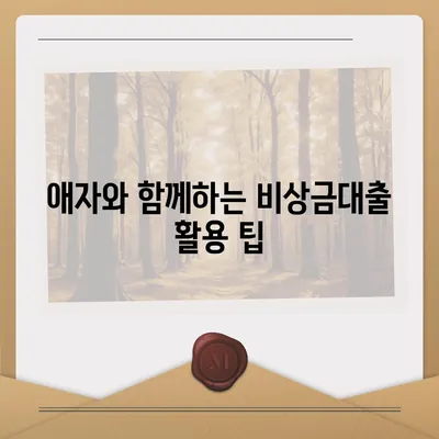 카카오뱅크 pc버전 비상금대출 pc버전 애자